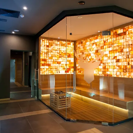 Hotel Arte & Park 5*