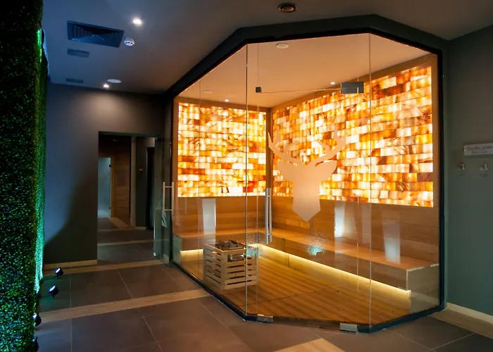 Hotel Arte & Park 5*